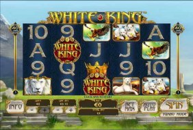 White King  -  Playtech